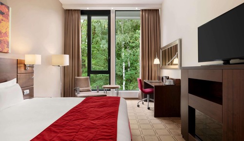 Habitación Deluxe