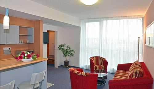 Apartamento estándar, 1 cama de matrimonio grande con sofá cama (free Panorama Vitality Point Spa)