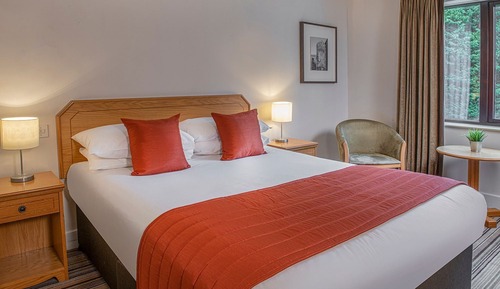 Habitación estándar doble