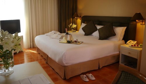 Suite Ejecutiva