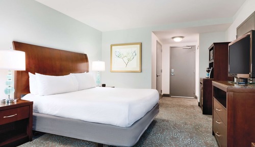 Evolution con 1 cama matrimonial grande