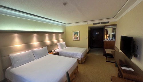 Habitación Deluxe, vistas a la montaña
