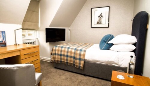 Cosy Single Room