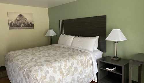 Habitación individual estándar, 1 cama de matrimonio grande