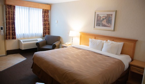Deluxe Room, 1 King Bed, Non Smoking