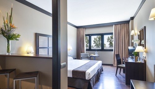 Habitación estándar doble