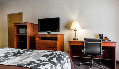 Habitación estándar, 2 camas de matrimonio, no fumadores