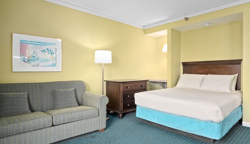 Suite (Queen Suite Handicap Accessible)