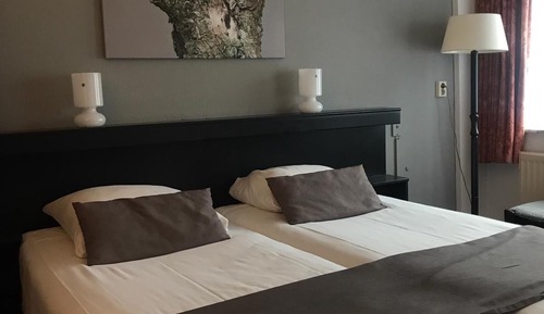 Habitación estándar con 1 cama doble o 2 individuales