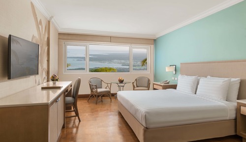 Habitación Deluxe, 1 cama de matrimonio grande