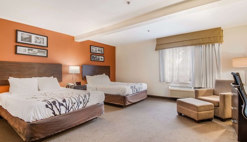 Habitación, 2 camas de matrimonio, accesible para personas con discapacidad, no fumadores