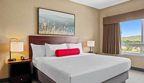 Suite, 1 cama de matrimonio grande con sofá cama, frigorífico y microondas (Separate room)