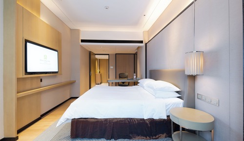 Suite, 1 habitación