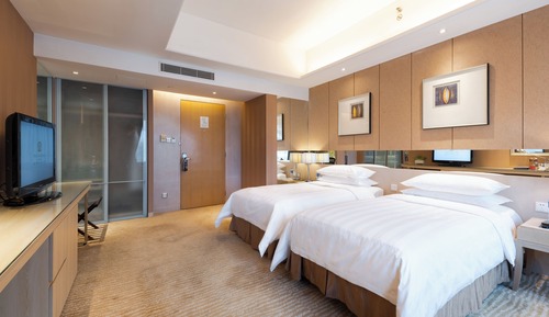 Habitación Deluxe con 2 camas individuales