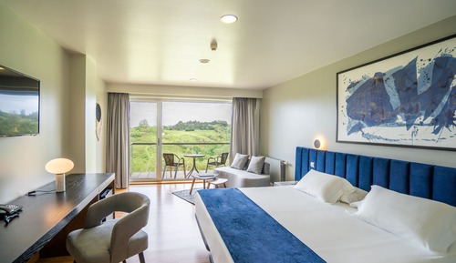 Habitación estándar, vistas al mar