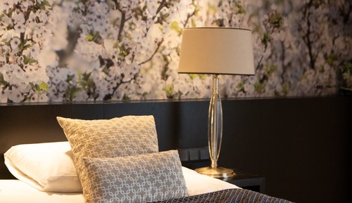Suite, en la zona del jardín
