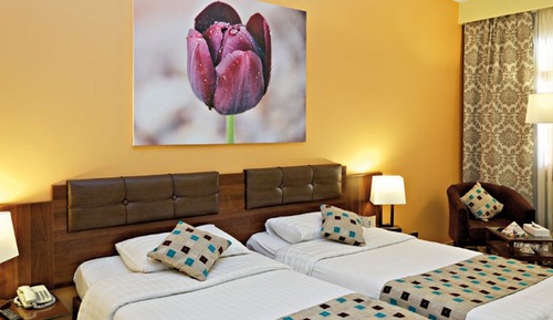 Habitación Premium