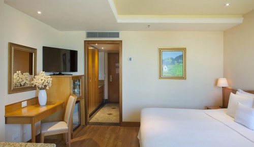 Superior Executivo com Cama Casal