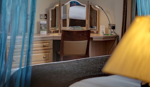 Habitación estándar, 1 cama de matrimonio grande, no fumadores (Canopy Bed)