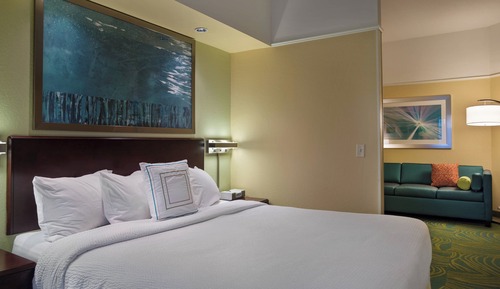 Suite, 1 cama de matrimonio grande con sofá cama