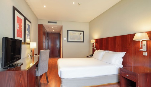 Habitación doble de uso individual, 1 cama doble