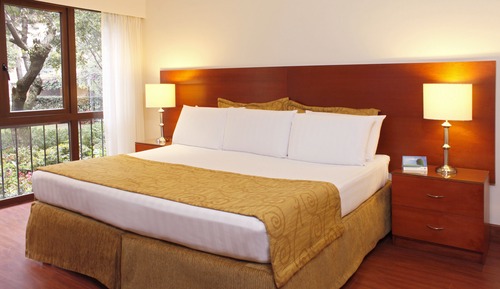 Apartamento junior, 1 cama de matrimonio grande (ApartaJunior 1 King Bed)