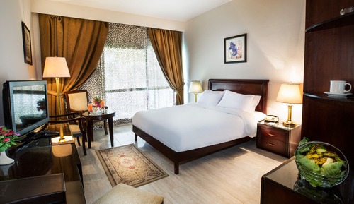 Habitación estándar doble (Nile View)