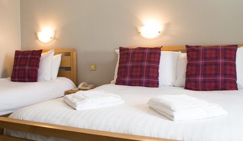 Suite, baño privado (2 Adults and 1 Child)