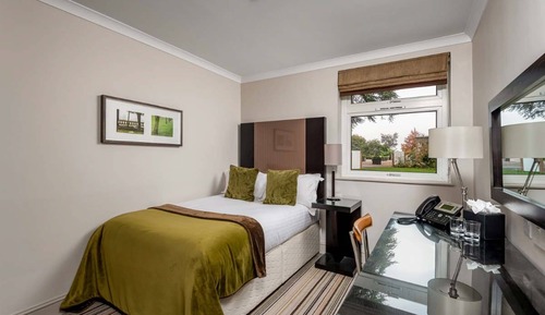 Habitación estándar doble de uso individual, 1 cama individual grande