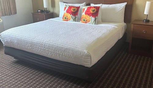 Habitación individual estándar, 1 cama de matrimonio grande