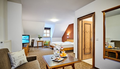 Habitación individual clásica