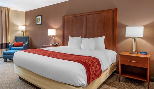 Habitación estándar, 1 cama de matrimonio grande, no fumadores
