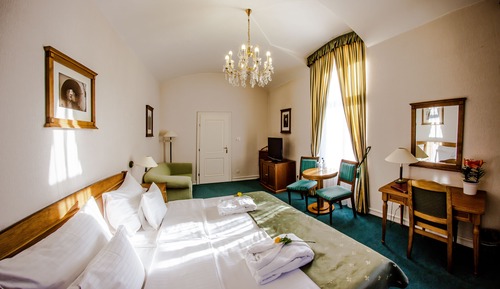 Habitación Deluxe doble (Castle View)