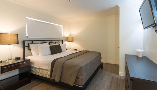 Suite Deluxe, 1 cama de matrimonio grande
