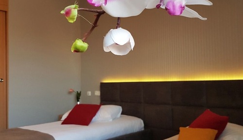Habitación clásica con 1 cama doble o 2 individuales