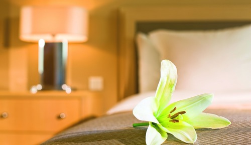 Suite, 1 cama de matrimonio grande