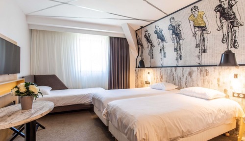 Habitación estándar doble, 1 cama doble con sofá cama