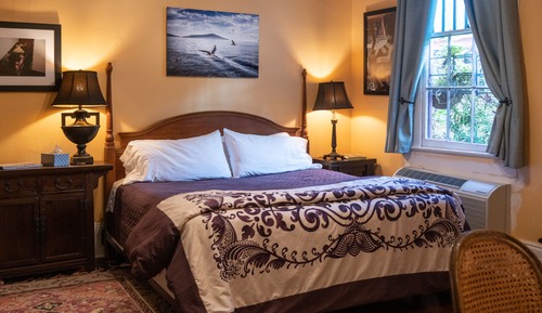 Suite Deluxe, 1 habitación, vistas al patio, en la zona del jardín