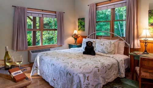 Suite Deluxe, 1 cama de matrimonio grande, frigorífico y microondas, vistas a la montaña