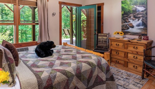 Room, Private Bathroom