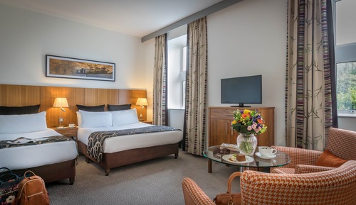 Habitación estándar, 1 cama de matrimonio grande