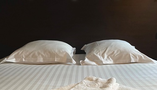 Habitación estándar, 1 cama de matrimonio, vistas a la ciudad