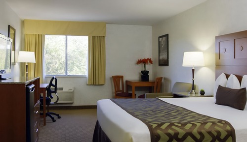 Habitación individual Deluxe, 1 cama de matrimonio, accesible para personas con discapacidad