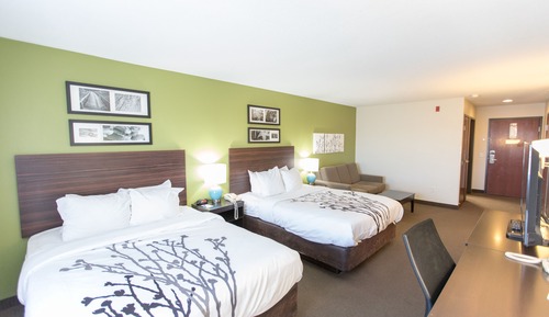 Suite, no fumadores