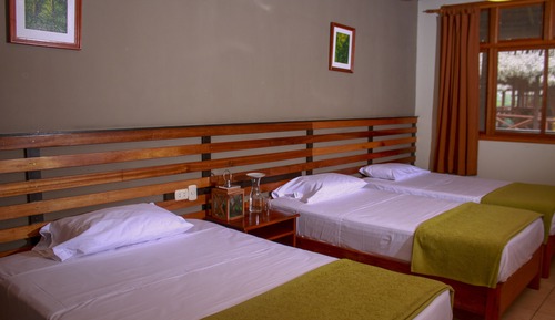 Habitación Confort