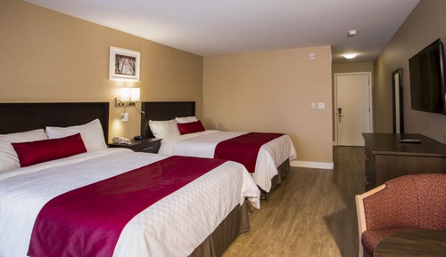 Superior Queen Room - 2 Queen Beds  and Wood Floor