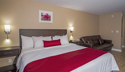 Habitación (King Bed, Sofa Bed, Wood Floors)