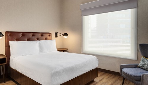 Suite Premium, 1 habitación