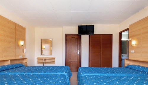 Habitación triple ( 3 adults)