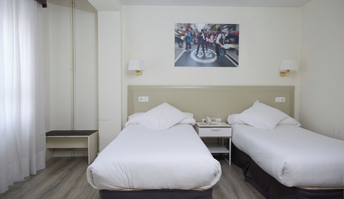 Habitación estándar con 2 camas individuales